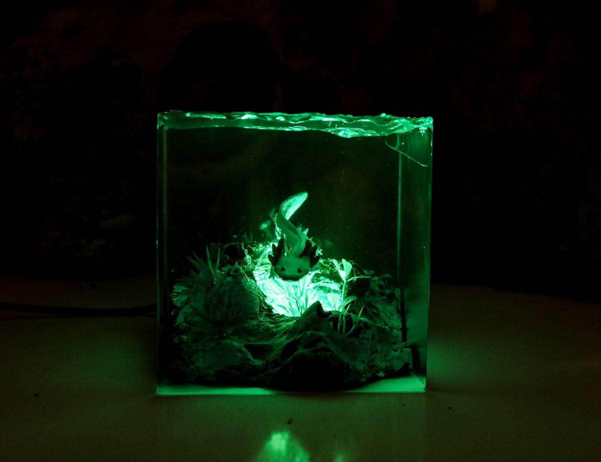 Axolotl Epoxy lamp