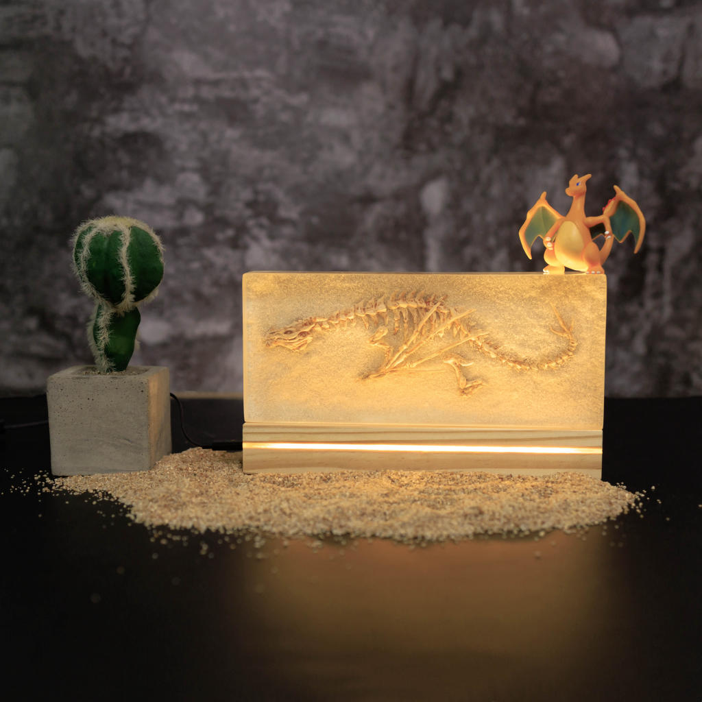 Dragon Fossil Night Light